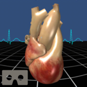 Living Heart for Cardboard VR