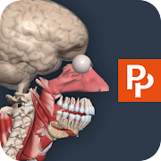 Primal's 3D Anatomy Quiz