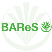 BAReS - Regionale Marktinformationen in Echtzeit