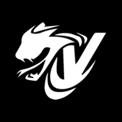 Team Viper Venom AR