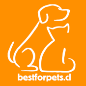 Best For Pets: tienda mascotas