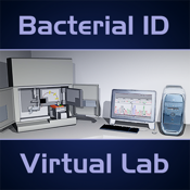 Bacterial ID Virtual Lab