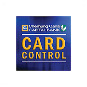 Chemung Canal & Capital Cards