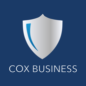Business Security Solutions
