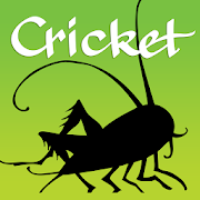 Cricket Magazine: Literature and art for kids