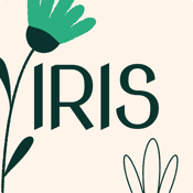 Iris: garden advice and ideas