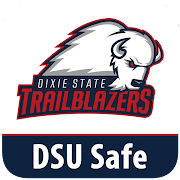 DSU Safe