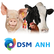 DSM ANH Product Support 2.0