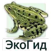 EcoGuide: Russian Amphibians