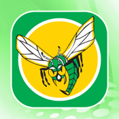 Hornets App