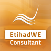 Etihad WE Consultant