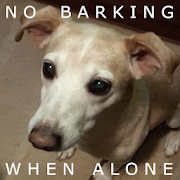 When dog is alone AntiBarking