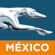 Greyhound México
