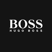 Hugo Boss Silver