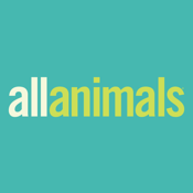 All Animals Magazine