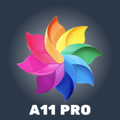 A11 Pro