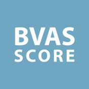 BVAS Score