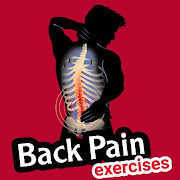 all back pain exercises