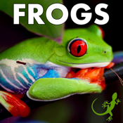 Learn About Frogs!