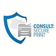 Consult: Secure Print
