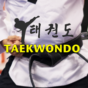 Taekwondo Stickers
