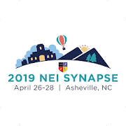 2019 NEI Synapse