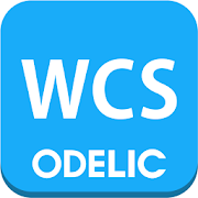 Odelic Wireless Control System