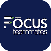 Focus IT Teammates