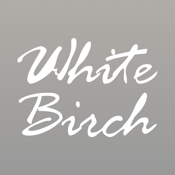 White Birch - Wholesale
