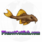 PlanetCatfish.com Quickfind