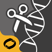 Restriction Enzyme Tool