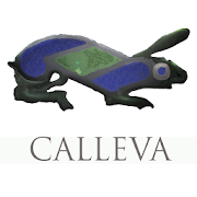 Calleva