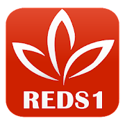 Risda Entrepreneur Delivery System REDS1