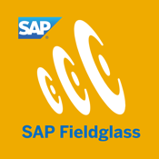 SAP Fieldglass Time Entry