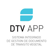 DTV