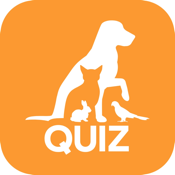 Tierwissen-Quiz: Haustier & Co