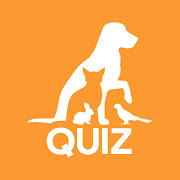Tierwissen-Quiz: Haustier & Co