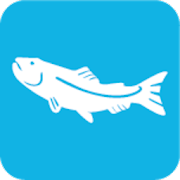 Great Lakes Fish Finder