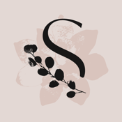 Silk + Sonder Guided Self-Care