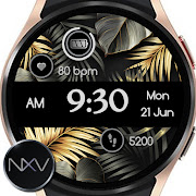 Luxury Elegant Watchface NXV91