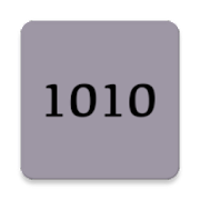Number 1010 Angel Meaning and Significance