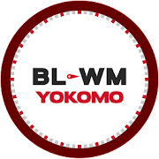 YOKOMO BL-WM WIZARD