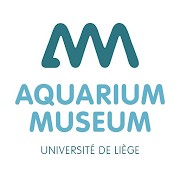 Aquarium Museum AR