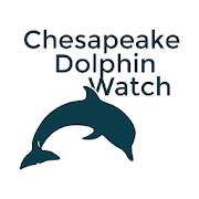 Chesapeake Dolphin Watch