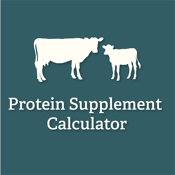 Protein Supplement Calculator