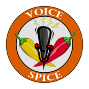 Voice Spice Online Recorder