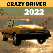 Crazy Driver: Are you ready?