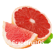 Grapefruit - Virtual OS