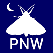 PNW Moths