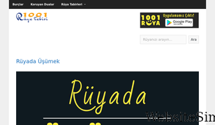 1001ruyatabiri.com Screenshot
